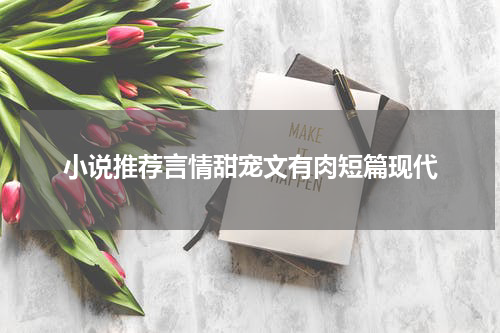 小说推荐言情甜宠文有肉短篇现代