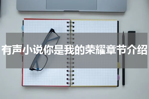 有声小说你是我的荣耀章节介绍