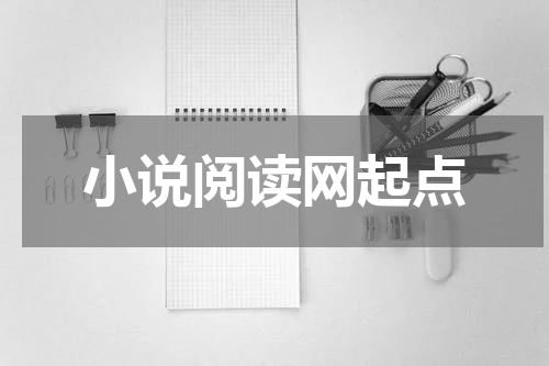 小说阅读网起点