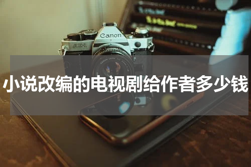 小说改编的电视剧给作者多少钱