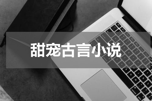 甜宠古言小说
