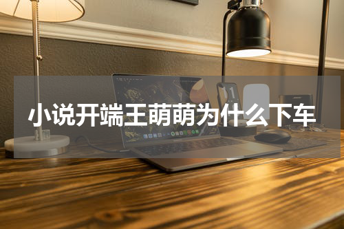 小说开端王萌萌为什么下车