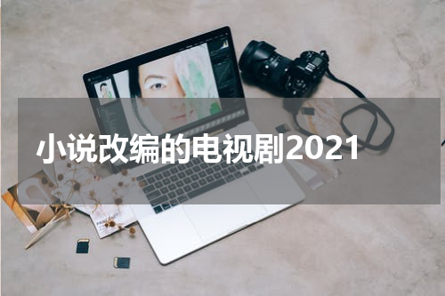 小说改编的电视剧2021