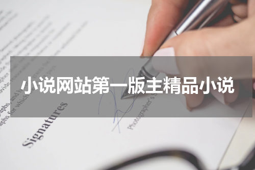 小说网站第一版主精品小说