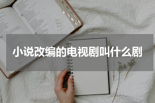小说改编的电视剧叫什么剧
