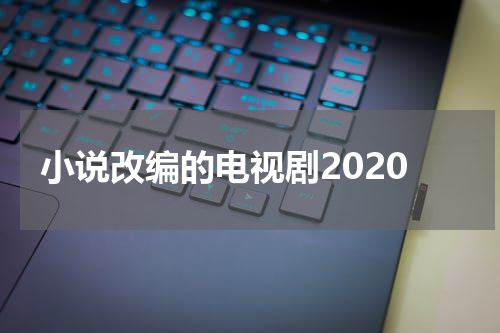 小说改编的电视剧2020