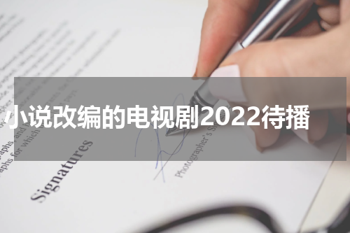 小说改编的电视剧2022待播