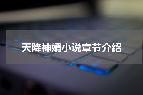 天降神婿小说章节介绍