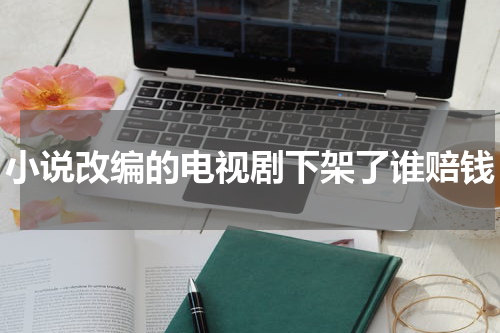 小说改编的电视剧下架了谁赔钱