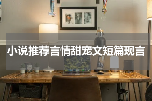 小说推荐言情甜宠文短篇现言