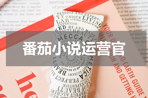 番茄小说运营官
