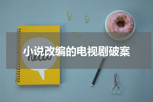 小说改编的电视剧破案