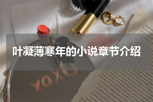 叶凝薄寒年的小说章节介绍