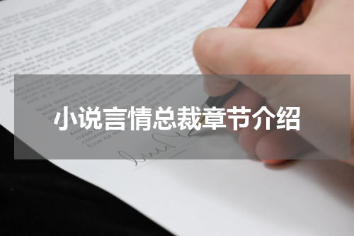 小说言情总裁章节介绍