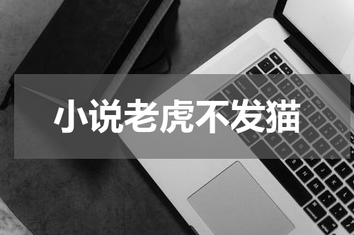 小说老虎不发猫