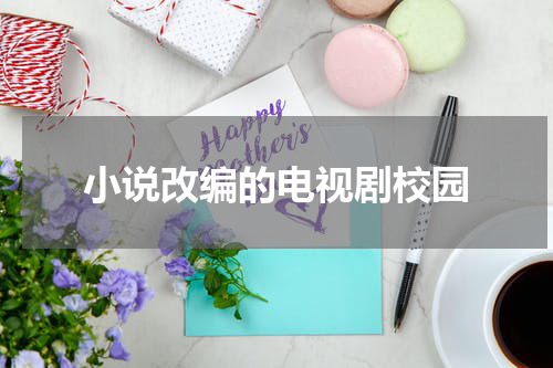 小说改编的电视剧校园