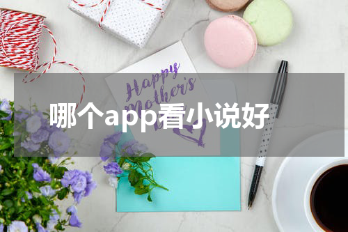 哪个app看小说好