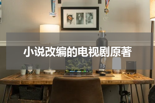 小说改编的电视剧原著