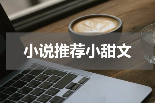 小说推荐小甜文