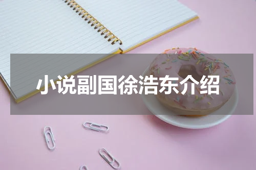 小说副国徐浩东介绍