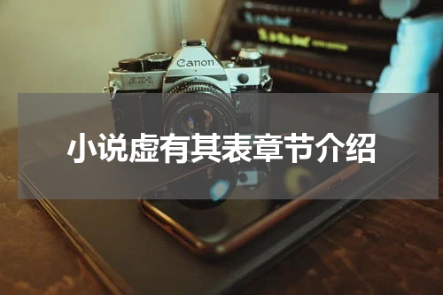 小说虚有其表章节介绍