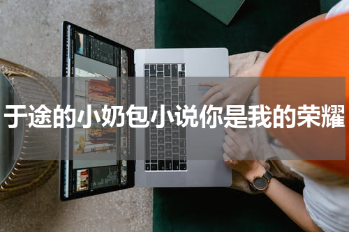 于途的小奶包小说你是我的荣耀