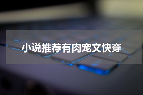 小说推荐有肉宠文快穿