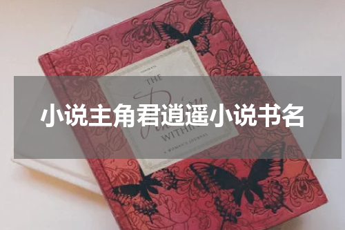 小说主角君逍遥小说书名