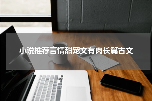 小说推荐言情甜宠文有肉长篇古文