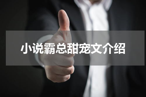 小说霸总甜宠文介绍