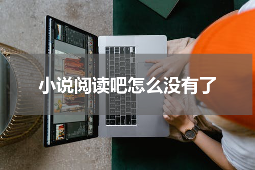 小说阅读吧怎么没有了