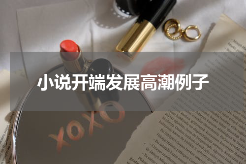 小说开端发展高潮例子