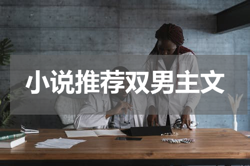 小说推荐双男主文