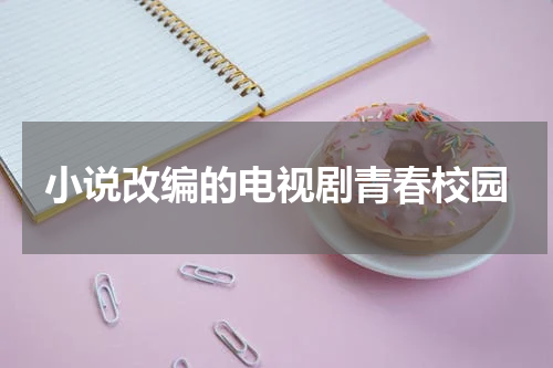 小说改编的电视剧青春校园