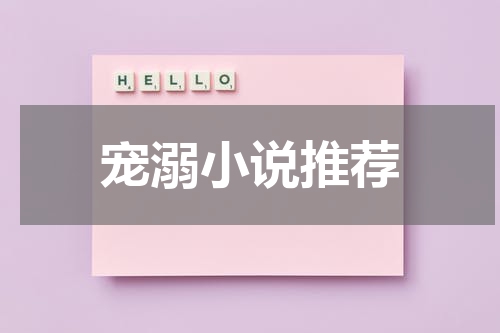 宠溺小说推荐