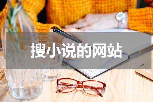 搜小说的网站