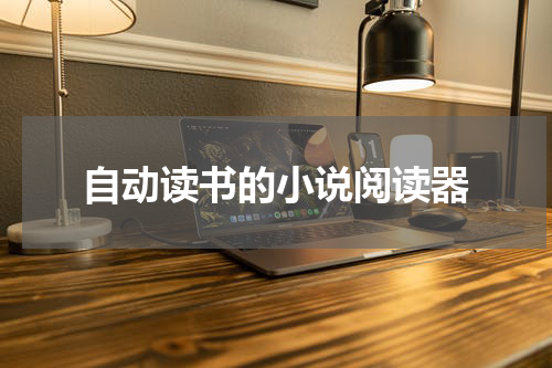 自动读书的小说阅读器