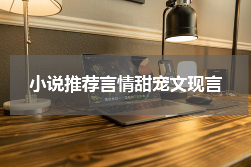 小说推荐言情甜宠文现言