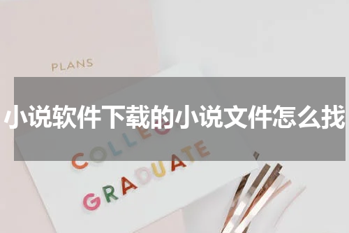 小说软件下载的小说文件怎么找