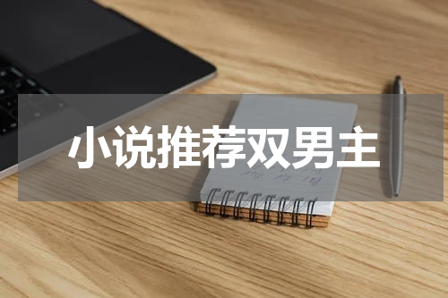 小说推荐双男主