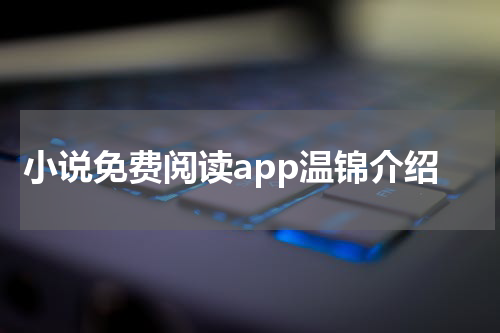 小说免费阅读app温锦介绍
