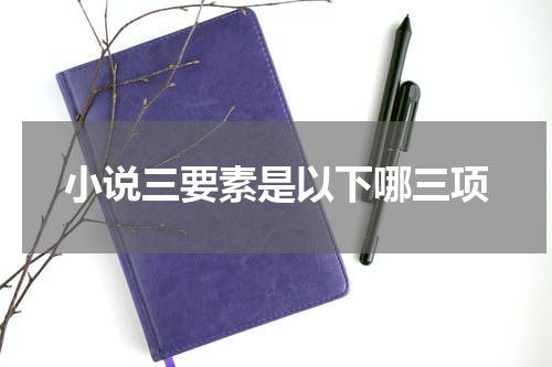 小说三要素是以下哪三项