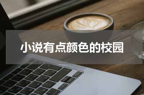 小说有点颜色的校园