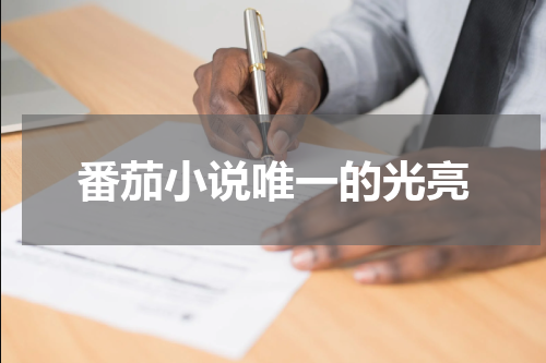 番茄小说唯一的光亮