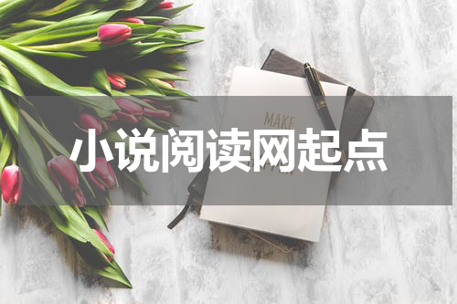 小说阅读网起点