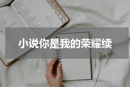 小说你是我的荣耀续