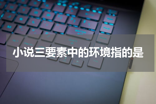 小说三要素中的环境指的是