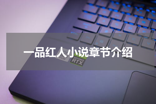 一品红人小说章节介绍