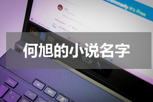 何旭的小说名字
