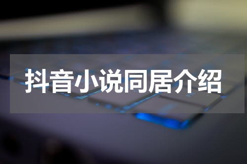 抖音小说同居介绍
